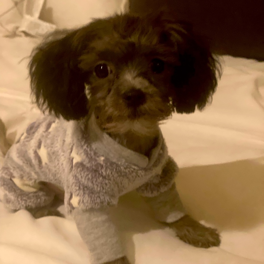 Meet your Posher, Denise